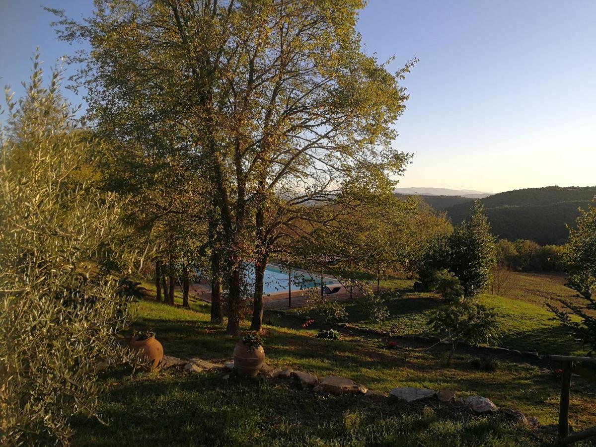 Agriturismo Casa Greppo San Venanzo Exterior foto