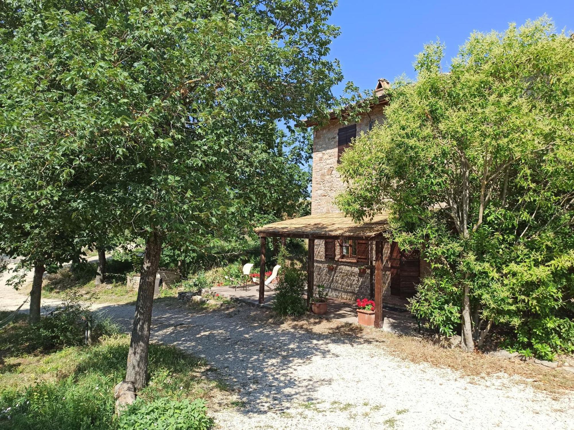 Agriturismo Casa Greppo San Venanzo Exterior foto